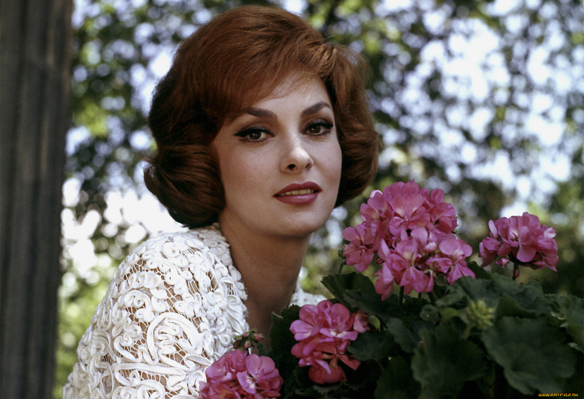 gina lollobrigida, , gina, lollobrigida, , , , , , , 